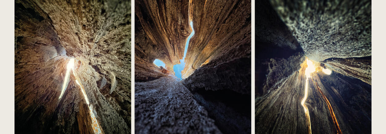 Atrium Sacrum__05.jpg